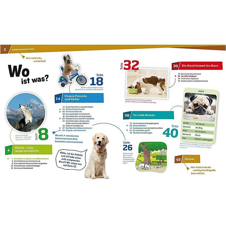 WAS IST WAS Band 11 Hunde. Helden auf vier Pfoten Paxmann, Christine; Brandstetter, Johann (Illustrationen); Milan Illustrations Agency, Elisabetta Ferrero (Illustrationen); Schlegel, Gerhard (Illustrationen) Couverture rigide 
