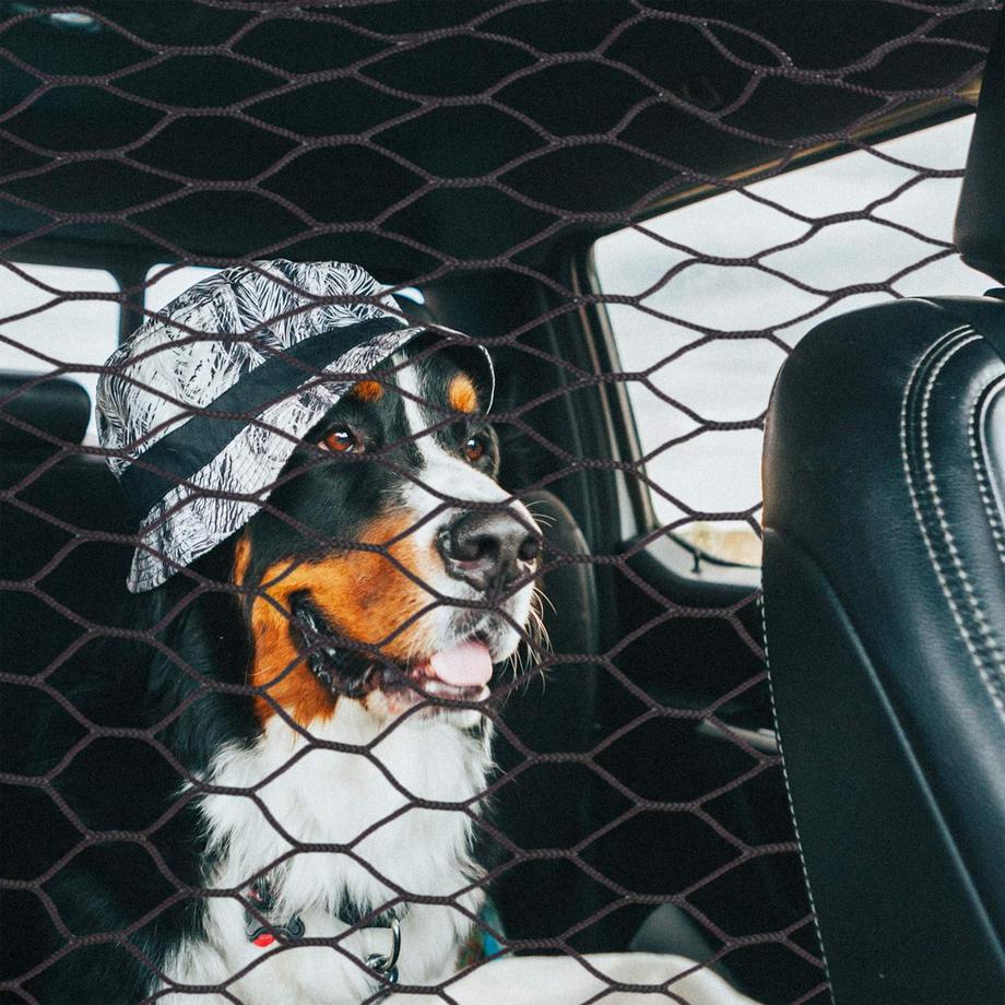 B2X  Auto-Trennnetz für Hunde 