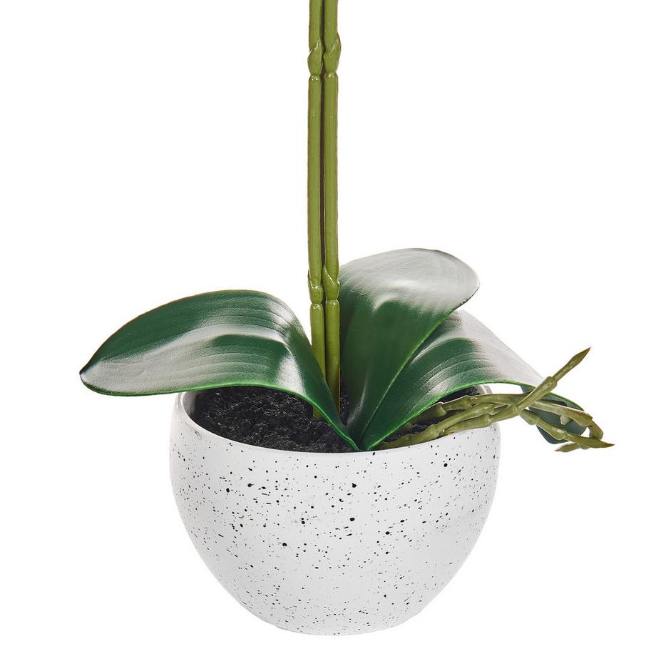 Beliani Plante artificielle en Matière synthétique  ORCHID  