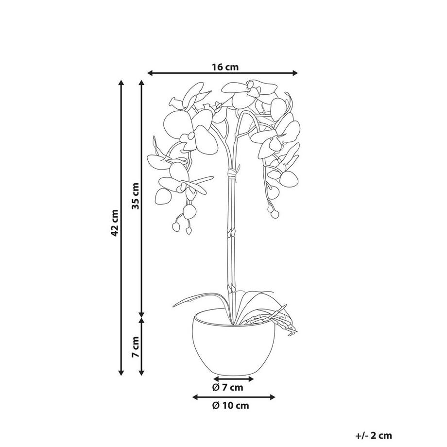 Beliani Plante artificielle en Matière synthétique  ORCHID  