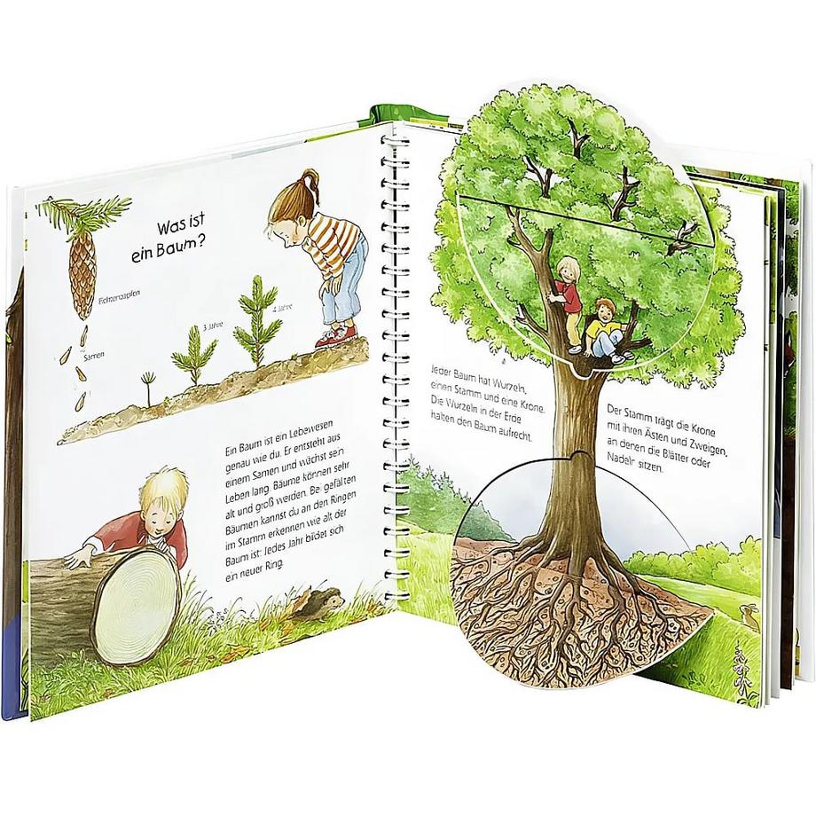 Wieso? Weshalb? Warum? junior, Band 6: Der Wald Weinhold, Angela; Weinhold, Angela (Illustrationen) Gebundene Ausgabe 