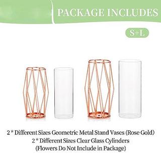 Alopini 2Pcs/ Set Vase für Pampasgras, Glas Rose Gold Vase hohen Boden mit geometrischen Metallrahmen Stand  