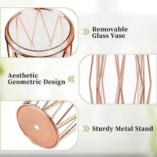 Alopini 2Pcs/ Set Vase für Pampasgras, Glas Rose Gold Vase hohen Boden mit geometrischen Metallrahmen Stand  