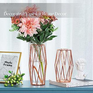 Alopini 2Pcs/ Set Vase für Pampasgras, Glas Rose Gold Vase hohen Boden mit geometrischen Metallrahmen Stand  