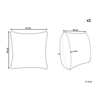Beliani Kissen 2er Set aus Polyester Modern ASTRANTIA  
