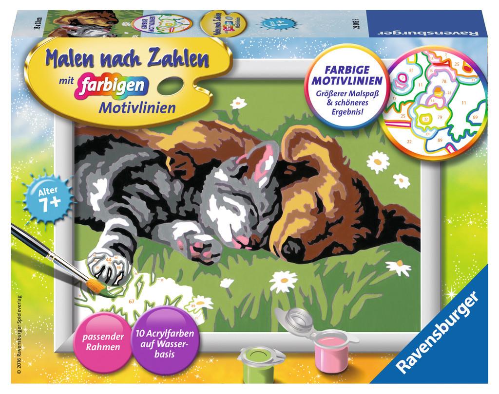 Image of Malen nach Zahlen Tiefer Schlaf