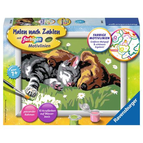 Ravensburger  Malen nach Zahlen Tiefer Schlaf 