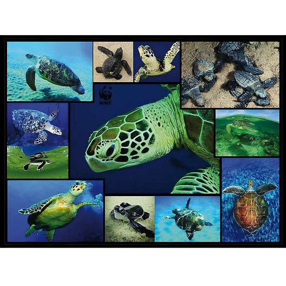 Ambassador  Puzzle Schildkröte (1000Teile) 
