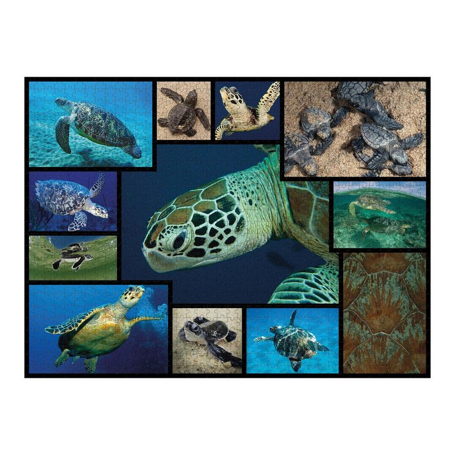Ambassador  Puzzle Schildkröte (1000Teile) 