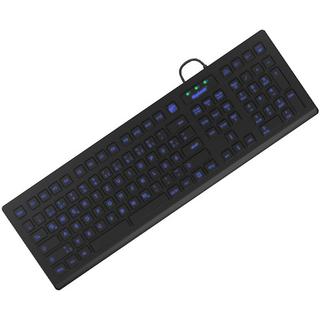 KeySonic  KSK-8031INEL tastiera USB QWERTZ Tedesco Nero 