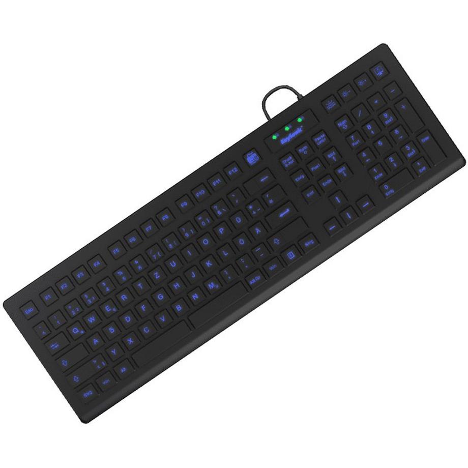 KeySonic  KSK-8031INEL tastiera USB QWERTZ Tedesco Nero 
