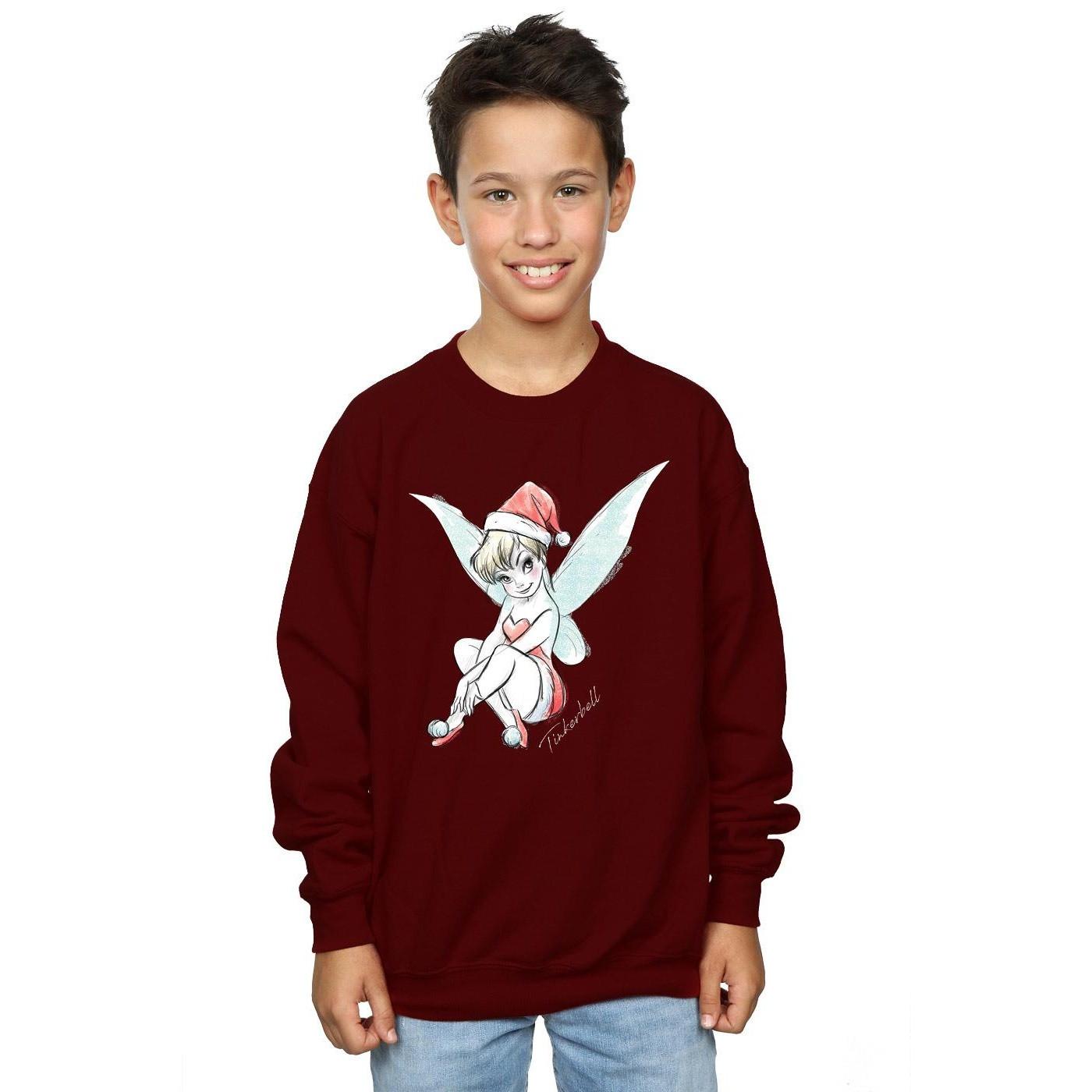 Disney  Fairy Sweatshirt 