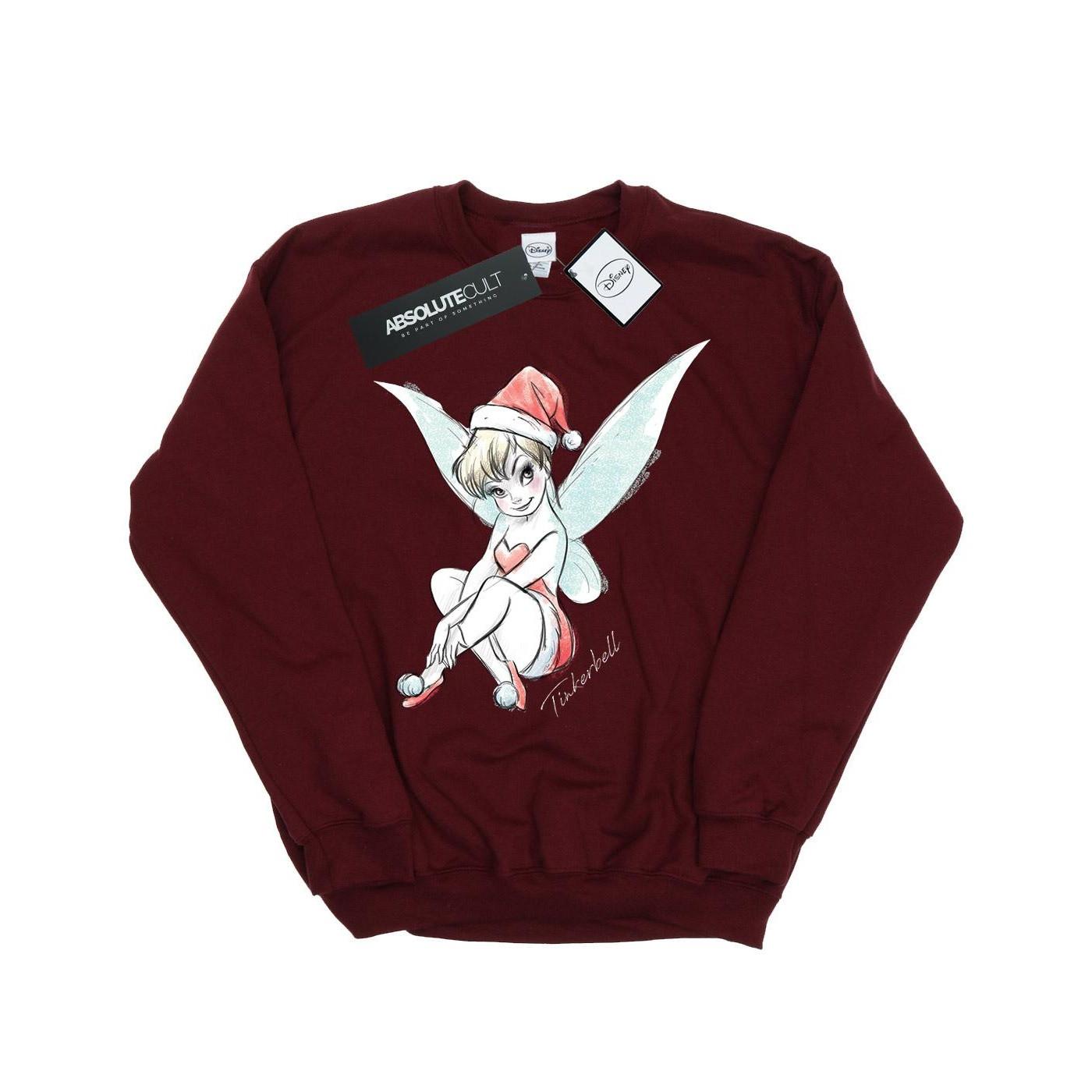 Disney  Fairy Sweatshirt 