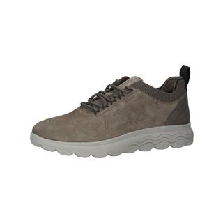 GEOX  Sneaker 