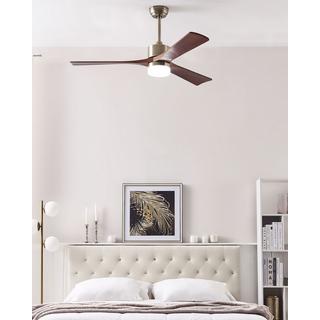 Beliani Ventilateur de plafond avec lampe en Métal Traditionnel ARUWIMI  