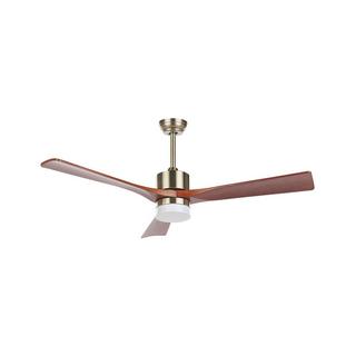 Beliani Deckenventilator mit Licht aus Eisen Modern ARUWIMI  