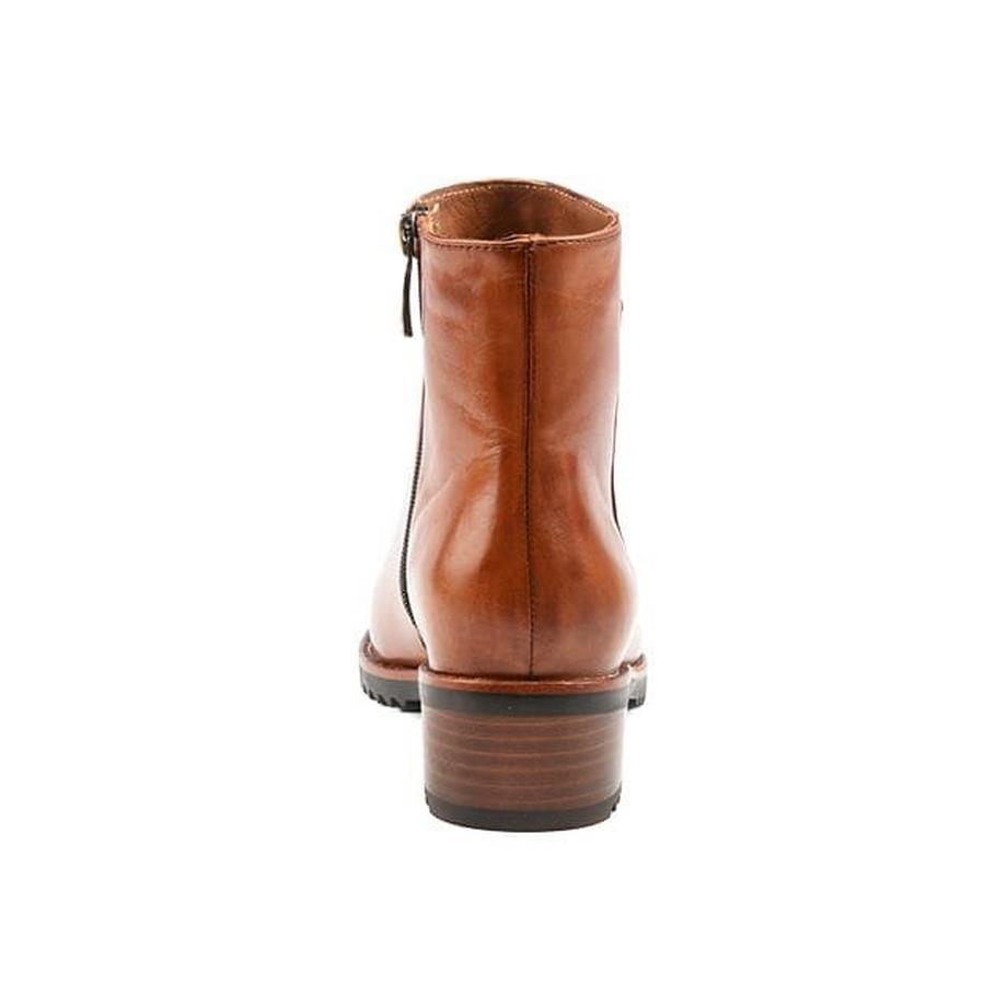Everybody Belport-36 Bottines  