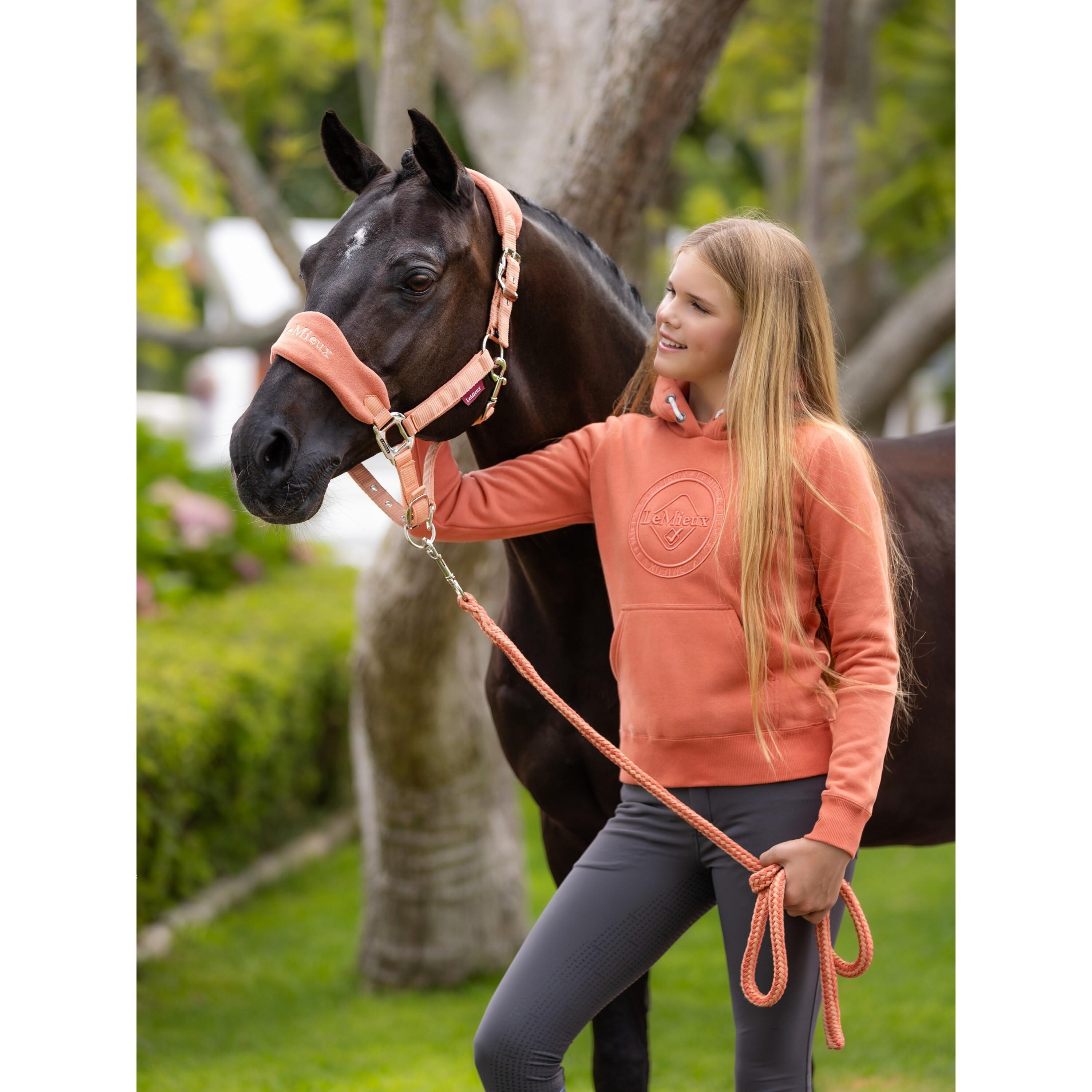 LeMieux  reitsport-hoodie, mädchen hannah pop over 