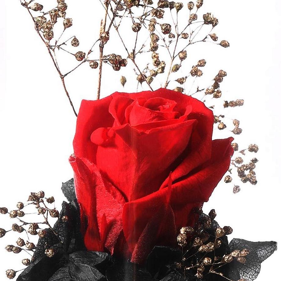 eStore  Diffuseur d'arômes sans eau avec éclairage - Rose rouge 