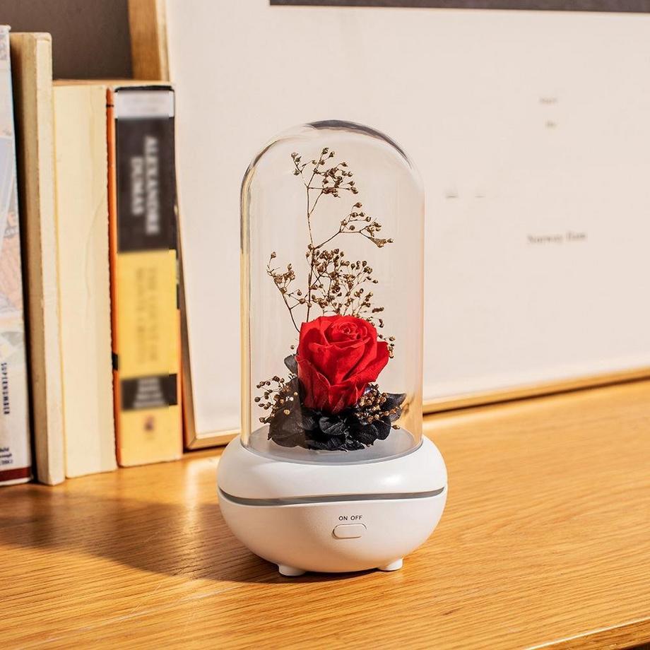 eStore  Diffuseur d'arômes sans eau avec éclairage - Rose rouge 