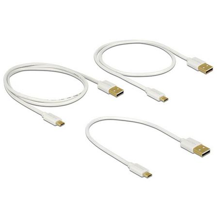 DeLock  83679 câble USB USB 2.0 USB A Micro-USB B Blanc 