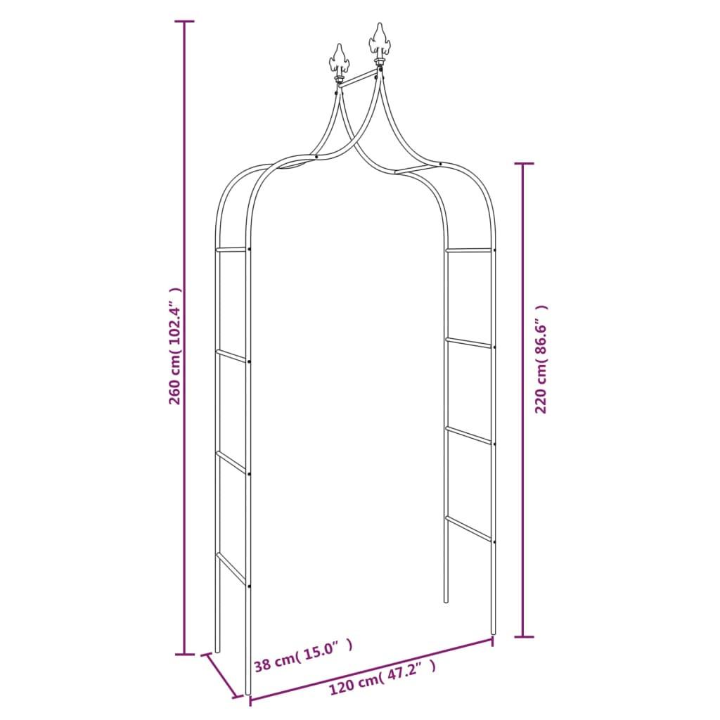 VidaXL  Arche de jardin acier 