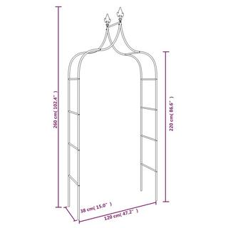 VidaXL  Arche de jardin acier 