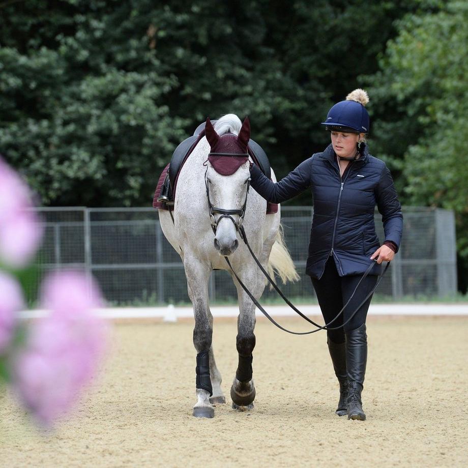 Weatherbeeta Doudoune Harlow  