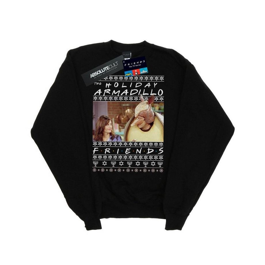 Holiday Armadillo Sweatshirt