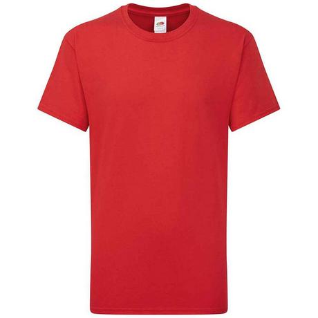 Fruit of the Loom  Iconic 195 Premium TShirt 