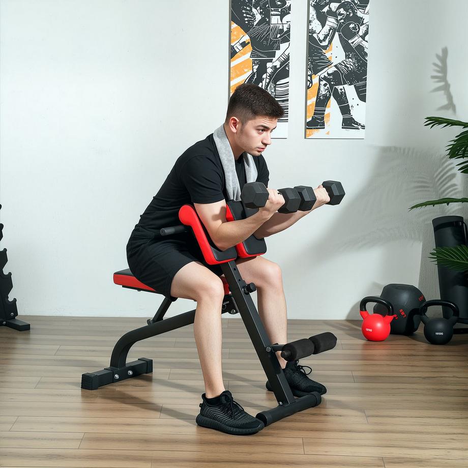 Northio  Panca Pesi, Panca Fitness Versatile, Regolabile, Design Pieghevole, Curl Bicipiti, Bilanciere, Acciaio, Fino a 120 kg, 103 x 65 x 67-98 cm, Nero 