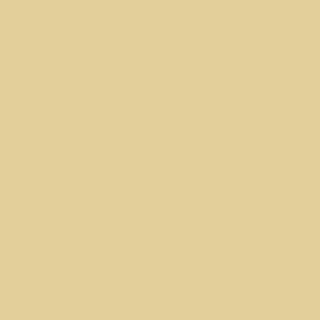 Cricut Smart (30.5 x 30.5 cm, 10 feuilles, couleurs pastel)  