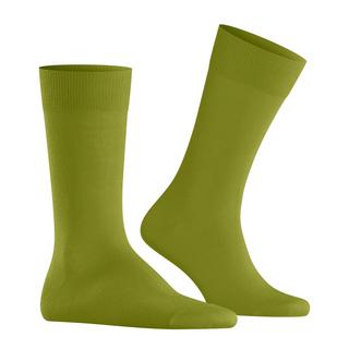 Burlington  socken lord 