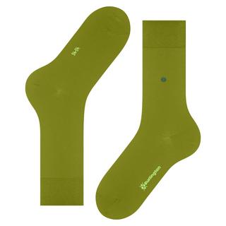 Burlington  socken lord 