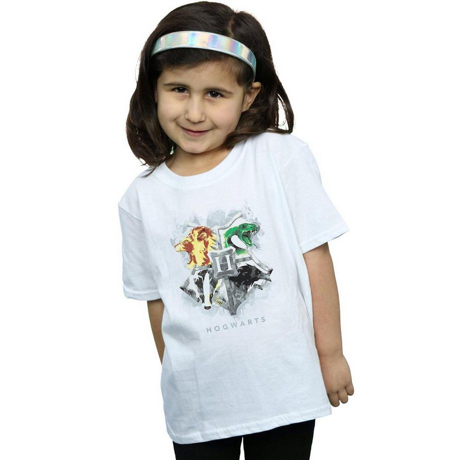 HARRY-POTTER  Hogwarts TShirt 