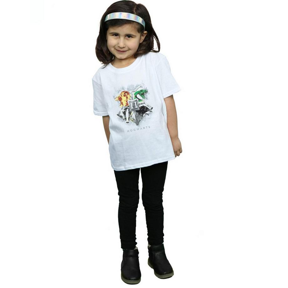HARRY-POTTER  Hogwarts TShirt 