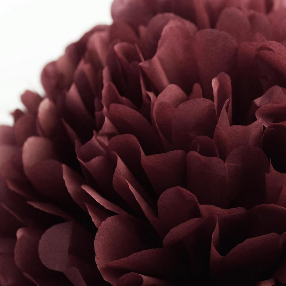 Alopini  12 Stück Partydekoration, altmodische Pompons aus Seidenpapier, Seidenpapierblumen 