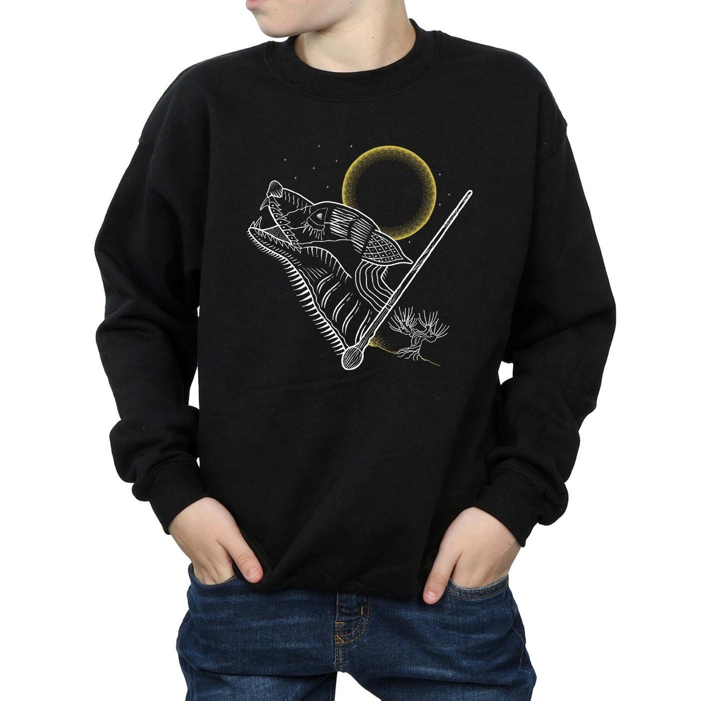 Harry Potter  Sweatshirt 