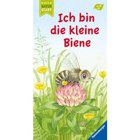 Ich bin die kleine Biene Grimm, Sandra; Henkel, Christine (Illustrationen) Gebundene Ausgabe 