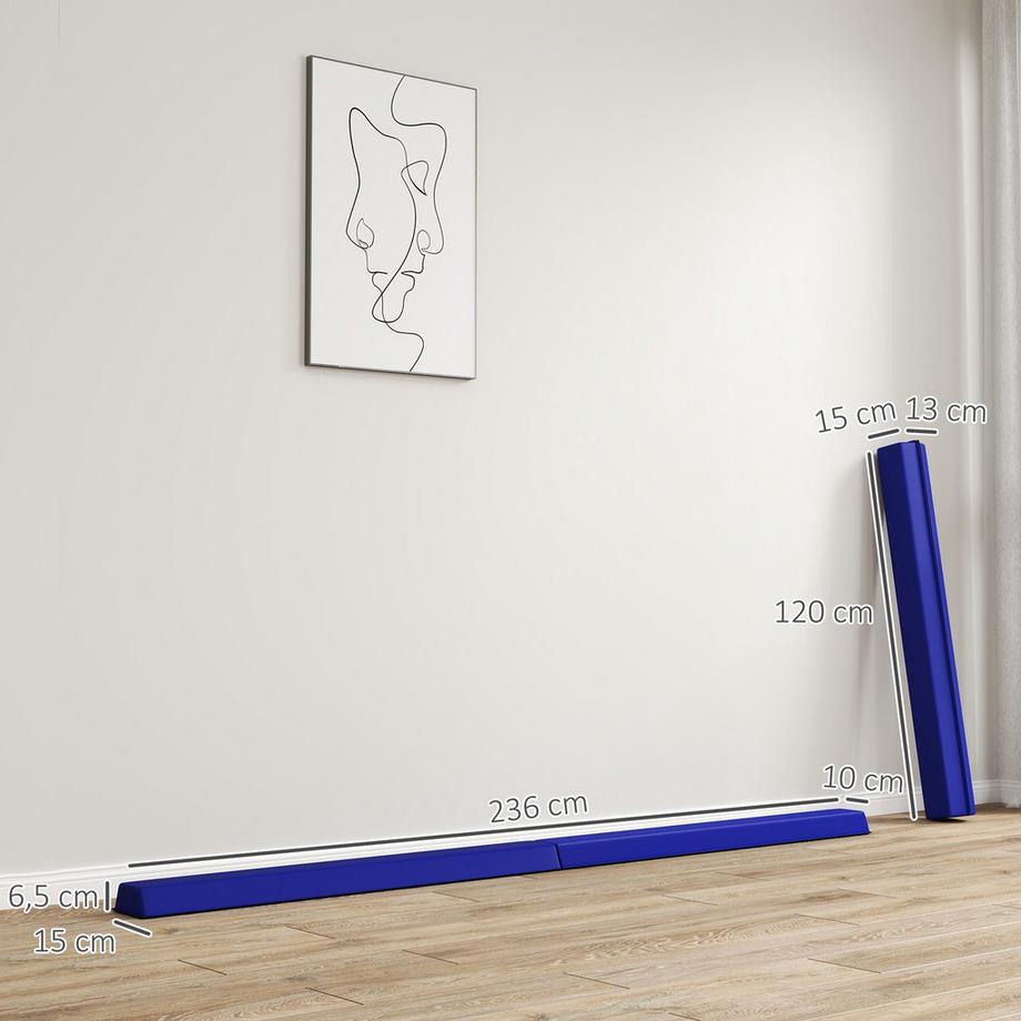 Northio  Trave d'equilibrio pieghevole da 236 cm, trave da ginnastica portatile, trave d'equilibrio antiscivolo, trave da ginnastica e d'equilibrio fino a 80 kg, per bambini dai 3 anni in su, indoor e outdoor, blu 