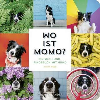 Wo ist Momo? Knapp, Andrew Gebundene Ausgabe 