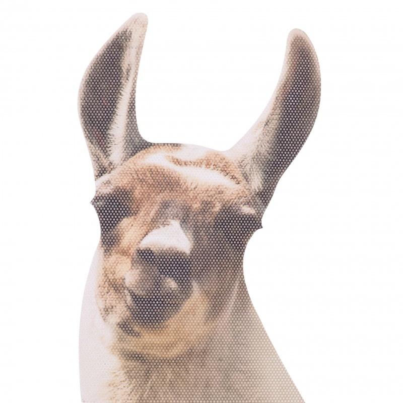 Image of Llama - Fenstersticker "Lama" Transparent
