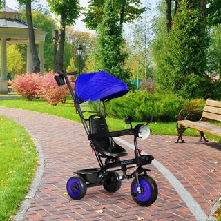 Northio  Passeggino triciclo per bambini 3 in 1 con sedile girevole, cappottina, blu, ECOTOYS 