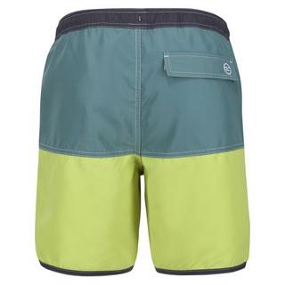Regatta Benicio Short de Bain Color Block  