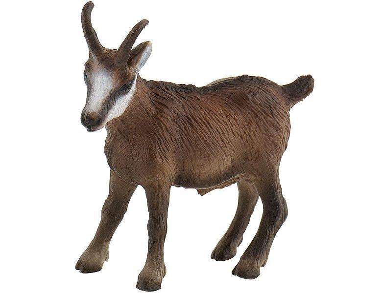 Image of Animal World Gämse