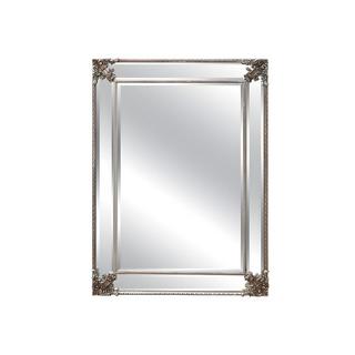 OZAIA Miroir biseauté en bois d'eucalyptus avec moulures ANALISE 1Champagne  