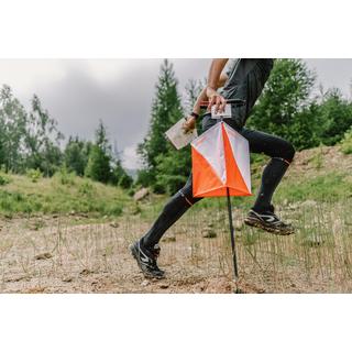 GEONAUTE  Chaussettes - ALPINISM 