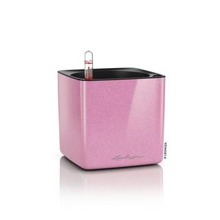 Lechuza CUBE Glossy Kiss all-in-one  