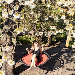 B2X Altalena Buddy 120 cm  