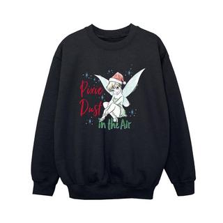 Disney  Tinker Bell Pixie Dust Sweatshirt 